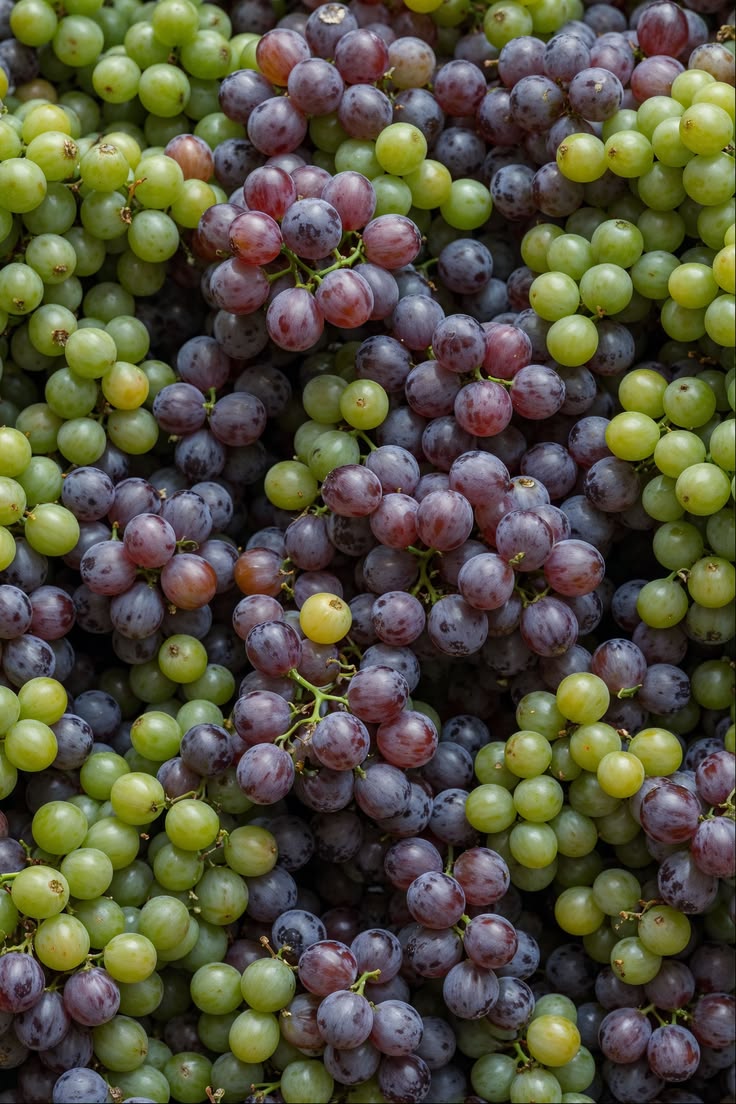 Egyptian Fresh Grapes
